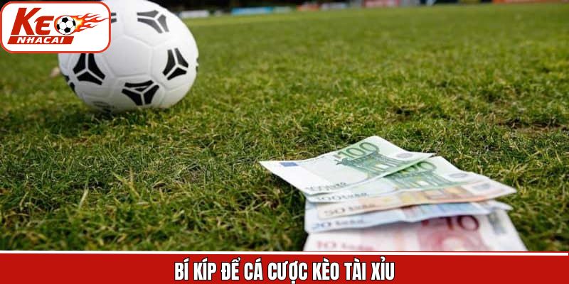 Bật mí bí quyết tham gia kèo dễ dàng hơn