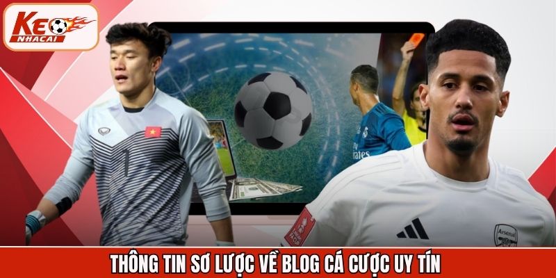 Thông tin sơ lược về blog cá cược uy tín 