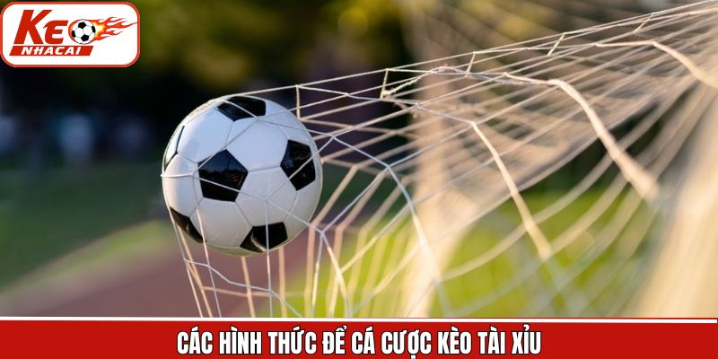 Một vài loại kèo tài xỉu nổi bật