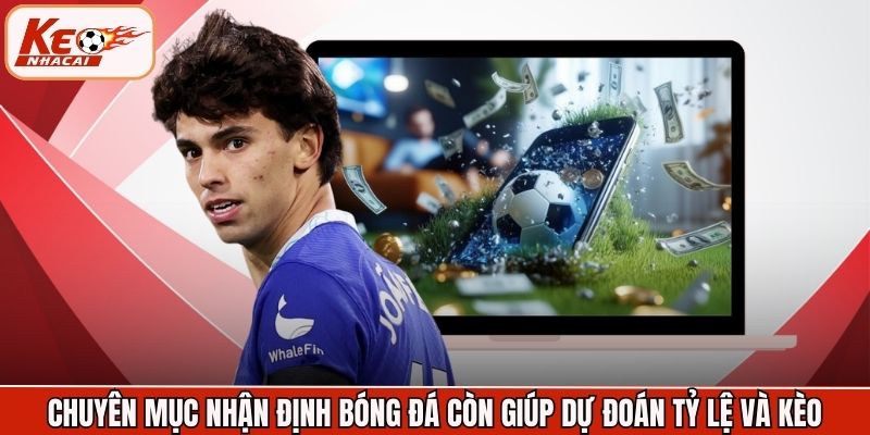 Chuyên mục nhận định bóng đá còn giúp dự đoán tỷ lệ và kèo