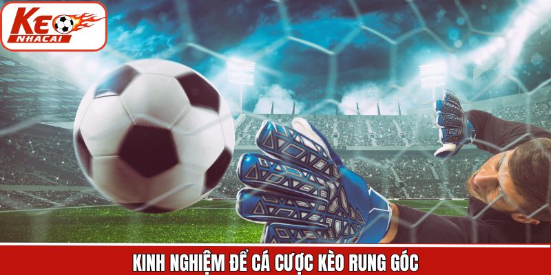 Top các chiến thuật cược kèo rung thắng lớn bất bại