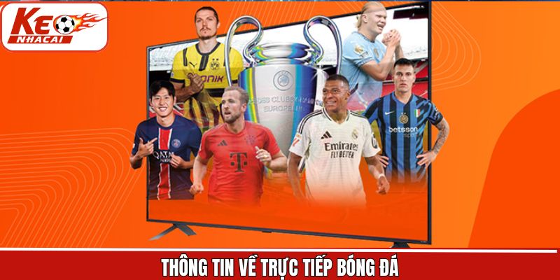 Tìm hiểu khái quát chung về trực tiếp bóng đá